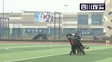 弹无虚发 快来“围观”成都黑豹特警队