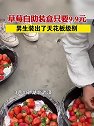 湖北武汉：草莓自助装盒只要9点9元，男生装出了天花板级别