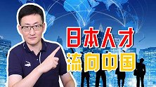 日本国宝级团队集体跳槽中国，为什么日本人会选择来中国发展？