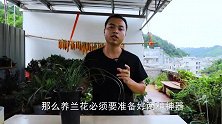 养兰花必备2种“养根”神器，养出条条大白根，新芽长得贼多