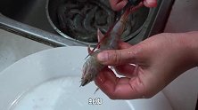 南美大对虾怎么吃？妹子赶海回来刚做好，就被川子抢吃！