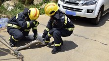 四川攀枝花：14斤眼镜王蛇钻进引擎盖被卡 消防员大力救援