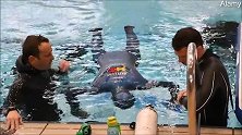 克罗地亚：54岁男子水下闭气24分33秒，打破世界纪录