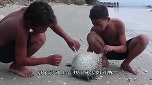 河豚鼓鼓的肚子里装的是什么？老外用刀划开后，简直惊呆了