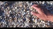 食肉大蟹围着大龙虾正准备开吃，被一举拿下，带回家蒸一大锅
