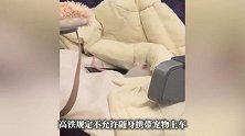 高铁座椅上，突然出现一只宠物鼠在蠕动，12306：不允许！