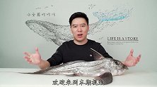 试吃4亿年前的生物银鲛鱼，出锅后肉质超级的鲜嫩，赚大了