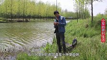 小军钓鱼上瘾了，今天再次来到河沟野钓，半小时的渔获真不少