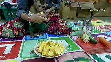 小猴多多最喜欢吃菠萝蜜，注意它的动作，瞬间把妈妈逗乐了！