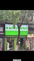和王石寻找健康落脚点  世友地板 树：你这店比我头发还绿探店 搞笑 搞笑视频
