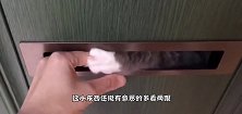 我就是个送信的，还能在门口撸到猫，太不容易了