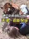 .如果在野外遇见老虎该怎么办？学会关键一招能保命