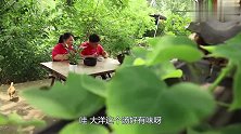 胖妹做的三杯鸡，鸡肉浓郁鲜香，吃完老公笑嘻嘻