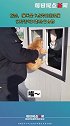 据悉，猫咪是卡点旁的流浪猫，很听话每天都给它食物？