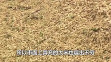 大米也有冒牌货？“五常大米”是好米，前提是你能买到真的！