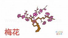 植物简笔画大全，画漂亮的梅花简笔画