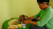 猴子吃烤架面包和黄油鸡蛋，端着碗狂吃，根本停不下来！