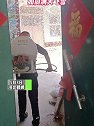 河北邯郸：杨树的花絮满天飞，如同满天飞雪