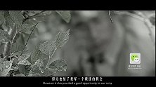 20170908-抗日神器之石碑炮台-看鉴地理102集
