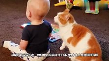 宝宝一口含住猫咪尾巴，猫咪正想发怒，回头见是小主人秒变初恋脸