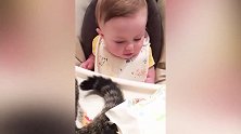 宝宝你是多喜欢猫咪一下子捉了3只，好可爱！