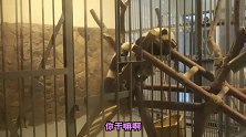 绅士一分钟-20180506-百万量级网红教你做出吸引人的视频封