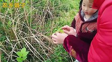 见识下农村的铁盘烧、比铁板烧做出来的东西还要好吃
