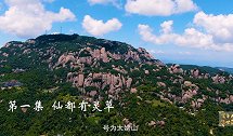 【非凡匠人】问茶太姥——仙都有灵草（第一集）