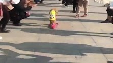 泰迪：都别挡道！看本姑娘大展身手