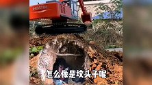 挖掘机：这土包，怎么看怎么像坟头呢？