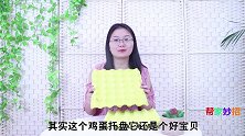 才发现，鸡蛋托盘是个宝，姑娘简单利用，家里人都夸好，回家找找