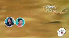 李湘太强势，把俩大导演扔在湖里抓鱼，自个站湖边监工