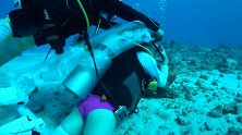 极致浪漫！女孩海底穿婚纱求婚
