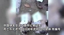 阜阳野生动物园20只东北虎尸体曝光，官方：该园无东北虎驯养繁殖许可证