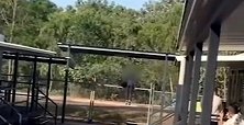 澳大利亚一女子在集中隔离期间翻栏杆逃走 15分钟后被抓回