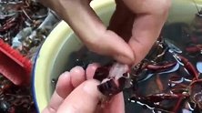 花了二百块钱买的小龙虾，扒完皮之后我肉呢