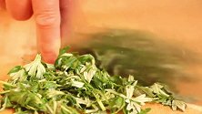 新鲜艾叶营养好吃，还能做成“茶”，带你们见识一下制作流程