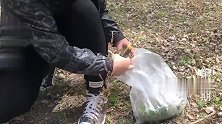 老婆上山采的婆婆丁，清热解毒又去火，做法简单一看就会