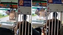 印度：一头大象追赶大巴，用象牙撞碎车玻璃