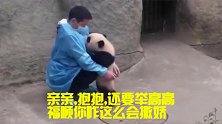 熊猫宝宝要亲亲、抱抱，还要举高高，可真会跟奶爸撒娇！