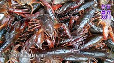 小龙虾体内有寄生虫、重金属超标？还能不能放心吃？奉劝你看看吧