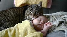 猫咪看娃紧贴着宝宝，一边陪睡一边注意周边，这保姆称职了