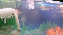 好大的鱼缸，小伙在里面游着擦。
