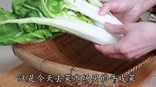1颗牛皮菜，2种吃法，轻松搞定一顿饭菜，耙软入味，比吃肉还香