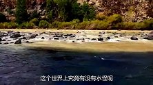 新疆喀纳斯湖发现“水怪”，耗时一个月抽干后，竟发现世界奇迹！