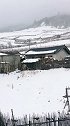 云南香格里拉。春雪。在路上。