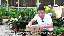是什么样的包裹让园艺猛男潸然泪下？感谢花友们的支持与陪伴。