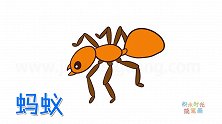 动物简笔画大全，画一只大蚂蚁简笔画