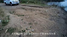 陌生水域，不管有没有鱼，抛几竿肯定有惊喜！陆浑水库解锁大马口