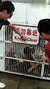 笼子里有单身狗，很凶的！请勿靠近！